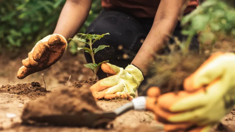 ICTQual AB Level 2 Award in Environmental Health and Safety